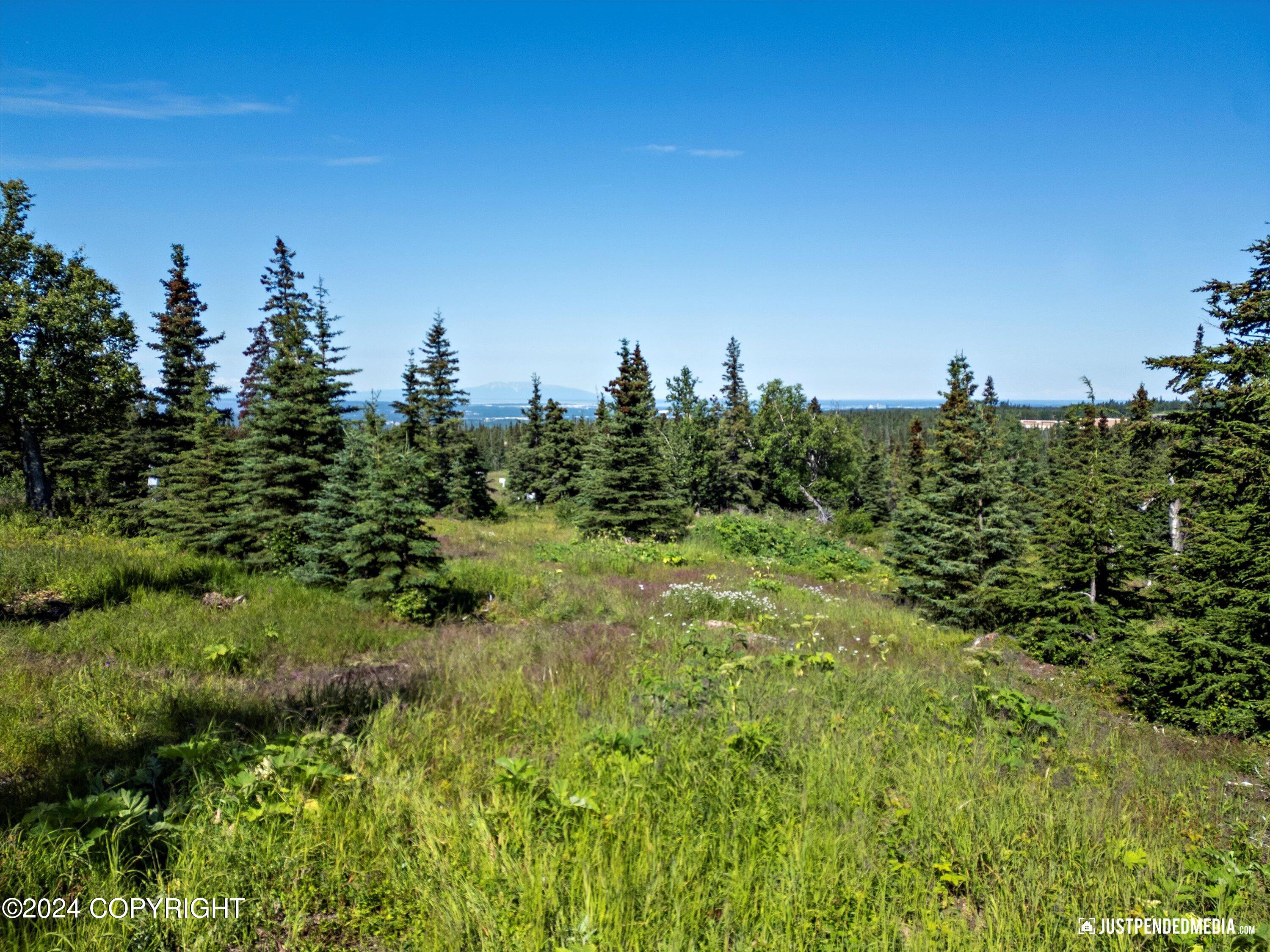 L7 B5 Mountain Air Drive, Anchorage, Alaska image 22