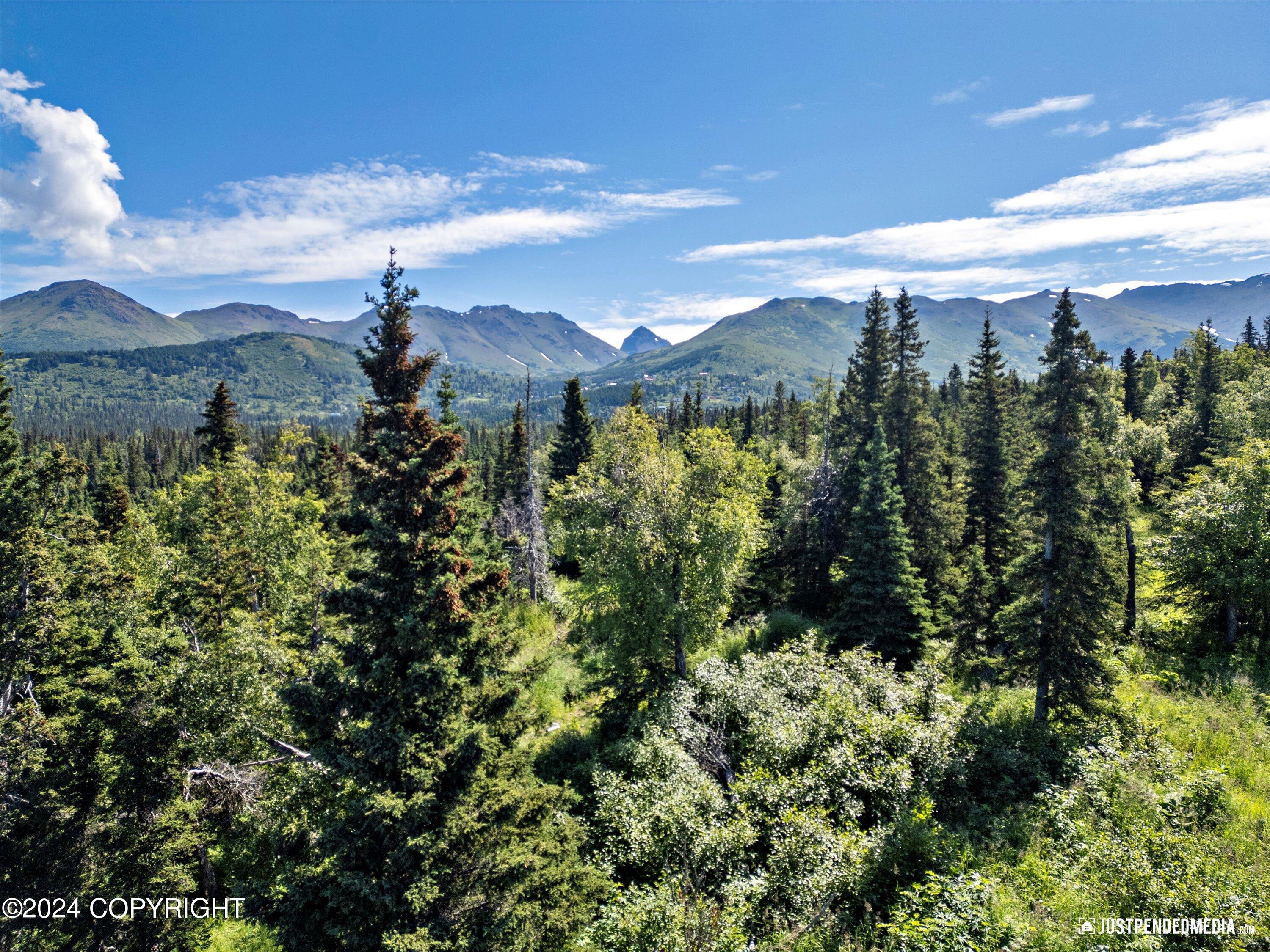 L7 B5 Mountain Air Drive, Anchorage, Alaska image 9
