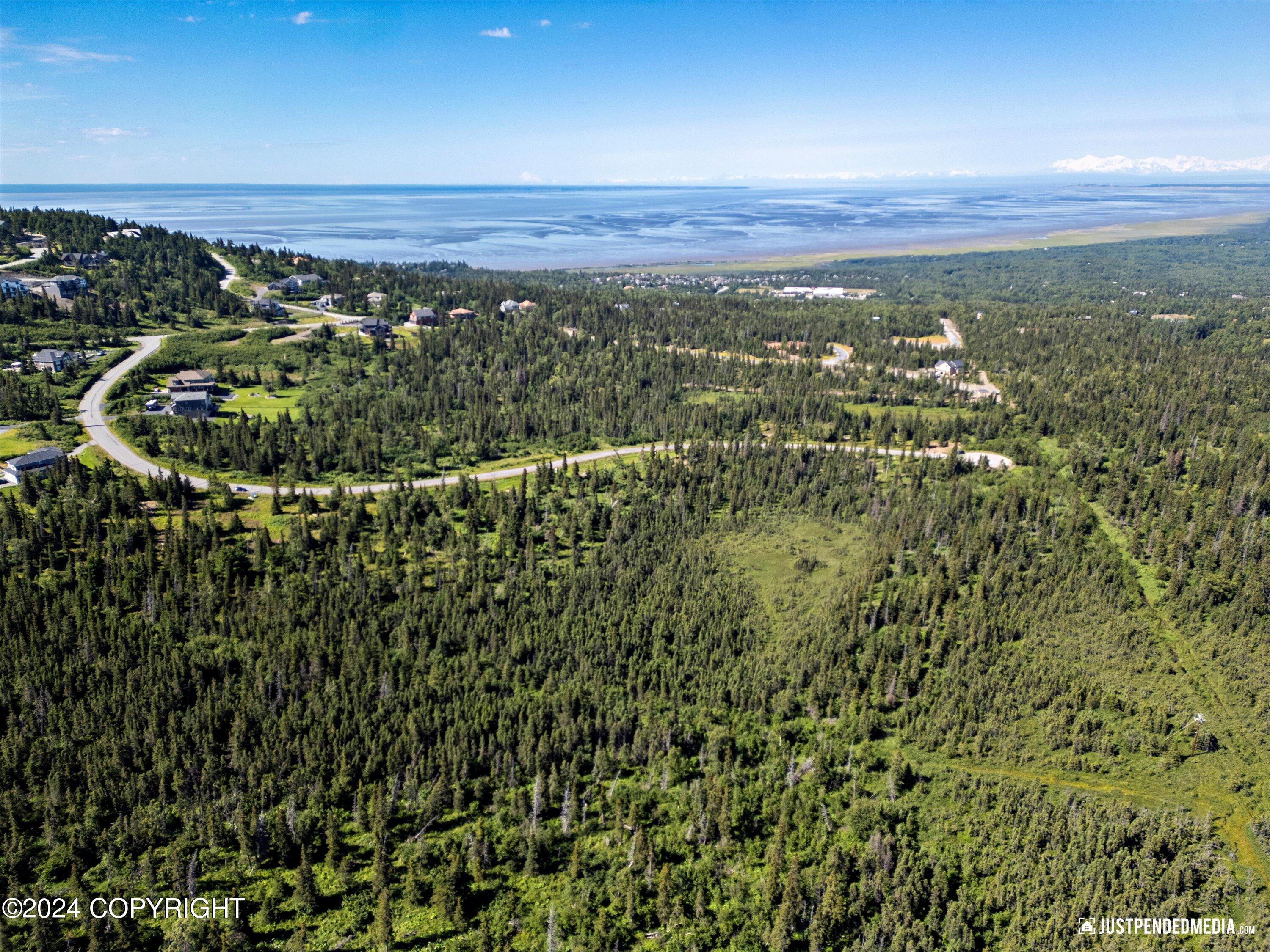 L7 B5 Mountain Air Drive, Anchorage, Alaska image 13