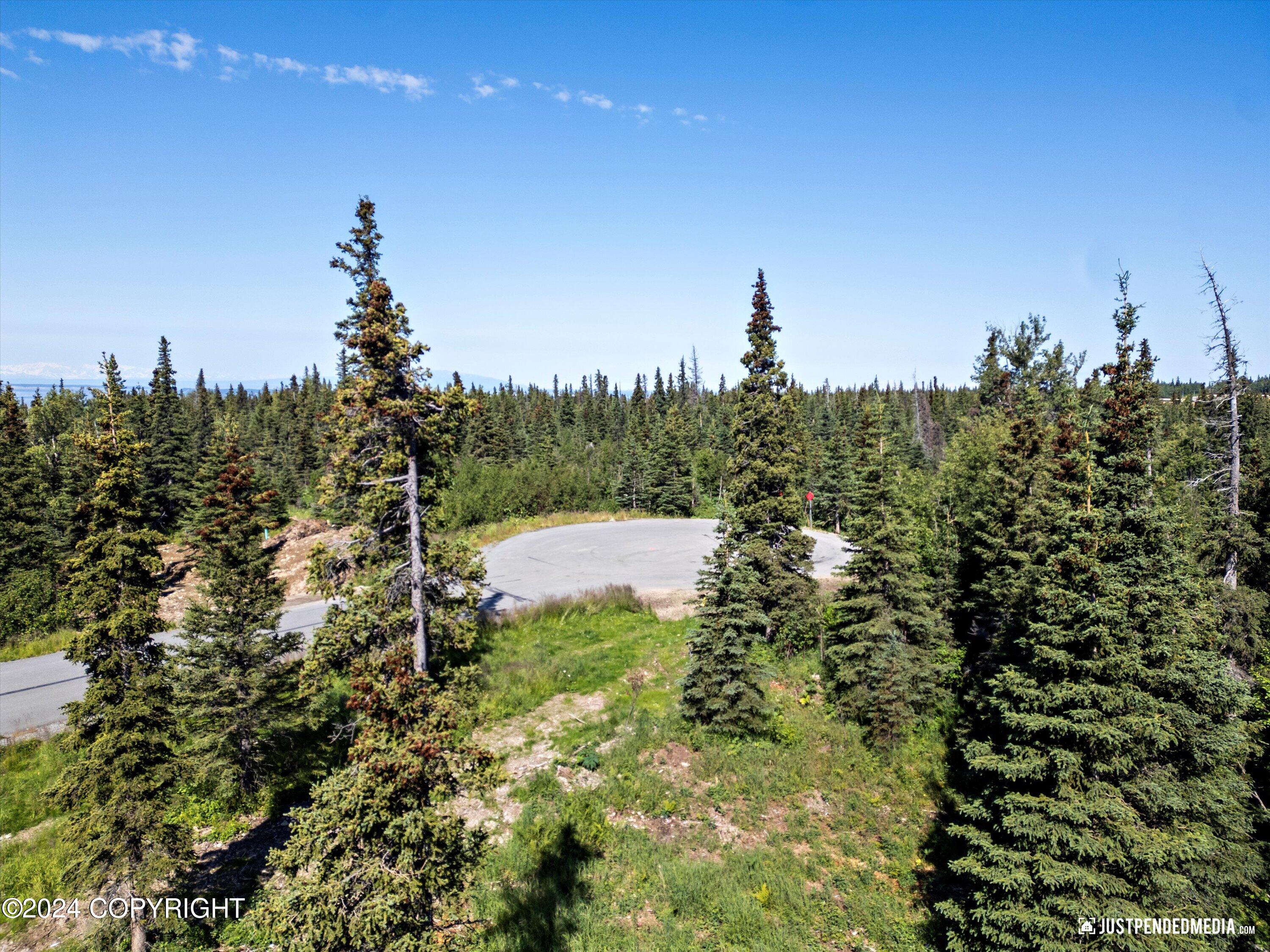 L7 B5 Mountain Air Drive, Anchorage, Alaska image 5