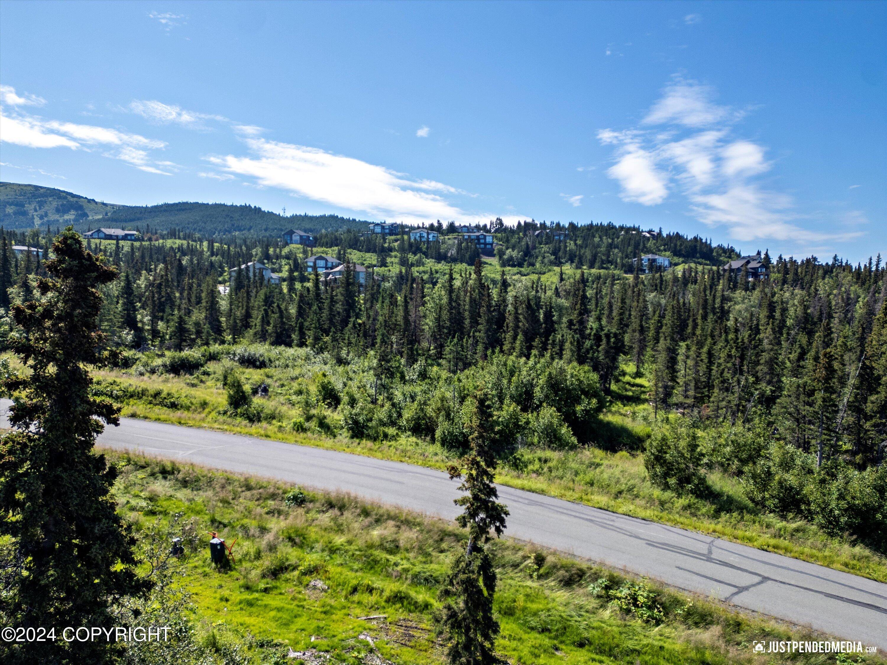 L7 B5 Mountain Air Drive, Anchorage, Alaska image 21
