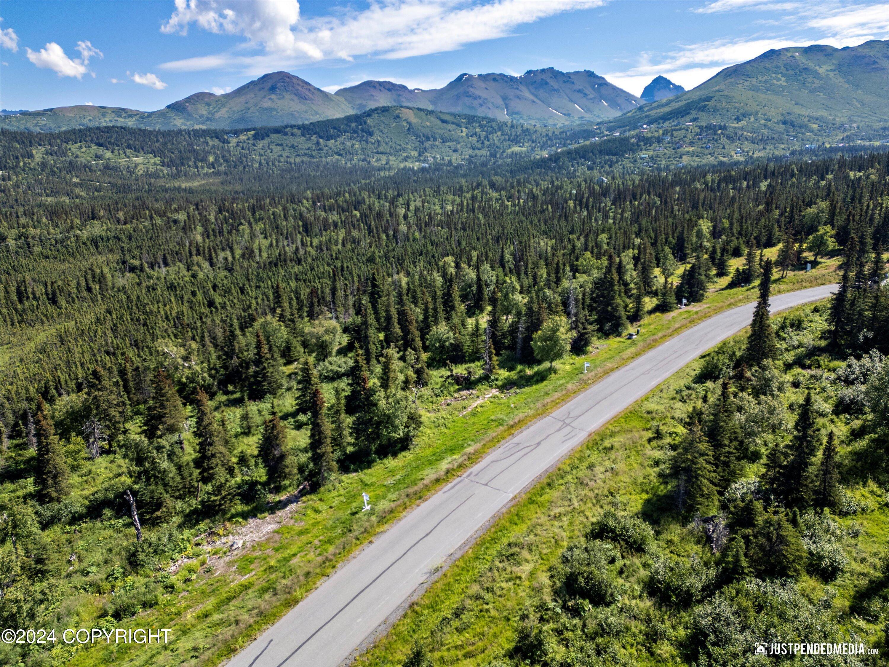 L7 B5 Mountain Air Drive, Anchorage, Alaska image 20