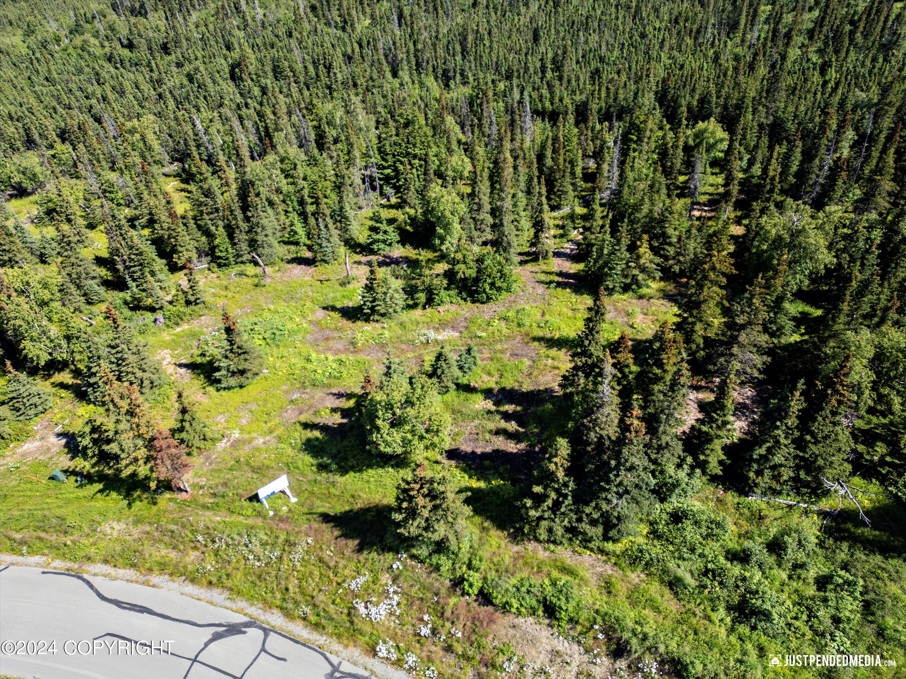 L7 B5 Mountain Air Drive, Anchorage, Alaska image 23