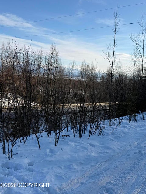 Vacant Land For Sale - L1 W Togo Woods Drive<br/> Wasilla, AK 99623