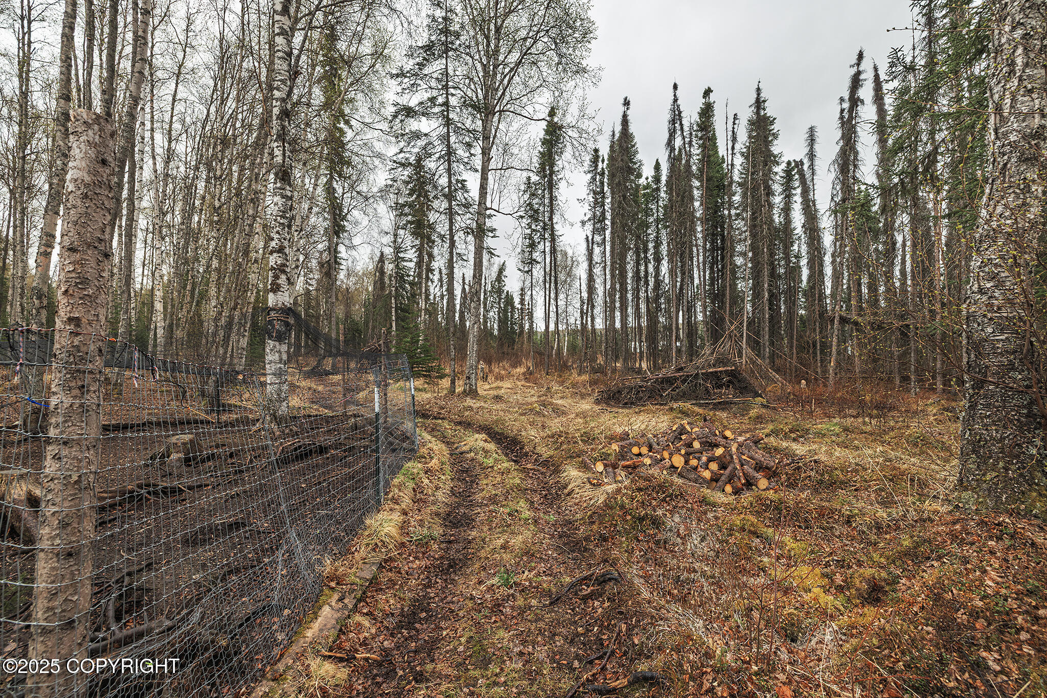 3604 N Copperspike Street, Wasilla, Alaska image 34