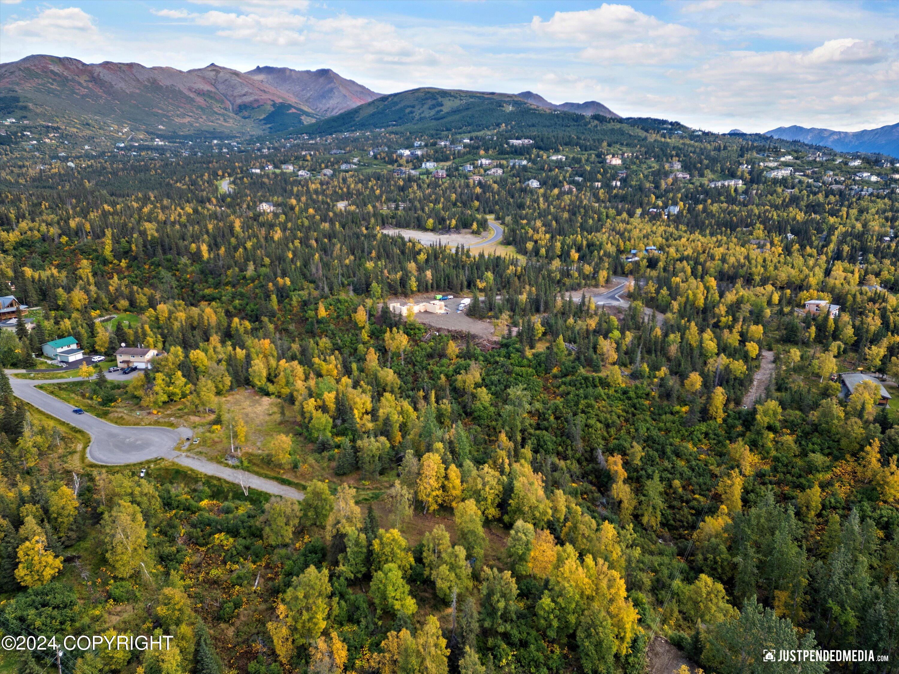 L2A Snow Flake Drive, Anchorage, Alaska image 11