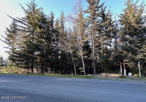 Photo of Lot8 Blk8 Skyline Road, Haines, AK 99827 (MLS # 26-7573)