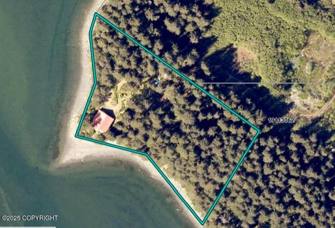 Photo of 60187 Chesloknu Lease RD, Seldovia, AK 99663 (MLS # 26-6683)