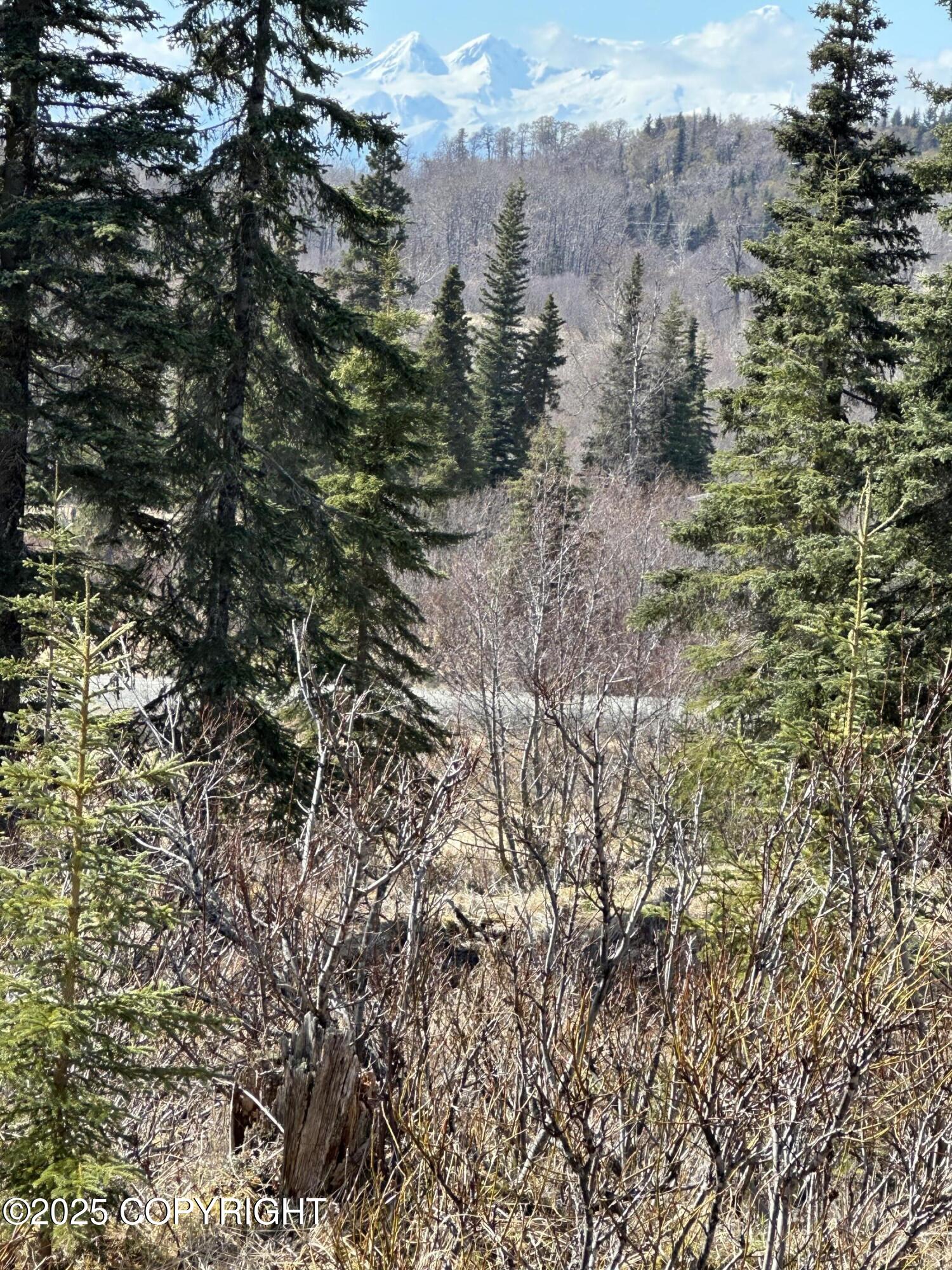 None Reba Street, Ninilchik, Alaska image 31