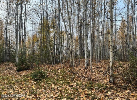 Vacant Land For Sale - TR A S Horseshoe Lake Road<br/> Big Lake, AK 99652