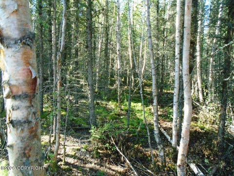 Vacant Land For Sale - 6661 S Lark Circle<br/> Wasilla, AK 99623