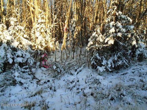 Vacant Land For Sale - 6661 S Lark Circle<br/> Wasilla, AK 99623