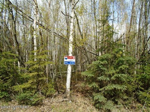 Vacant Land For Sale - 6661 S Lark Circle<br/> Wasilla, AK 99623