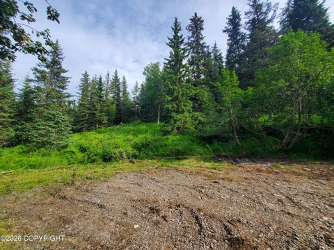 Photo of 73470 Ann Court, Anchor Point, AK 99556 (MLS # 26-8378)