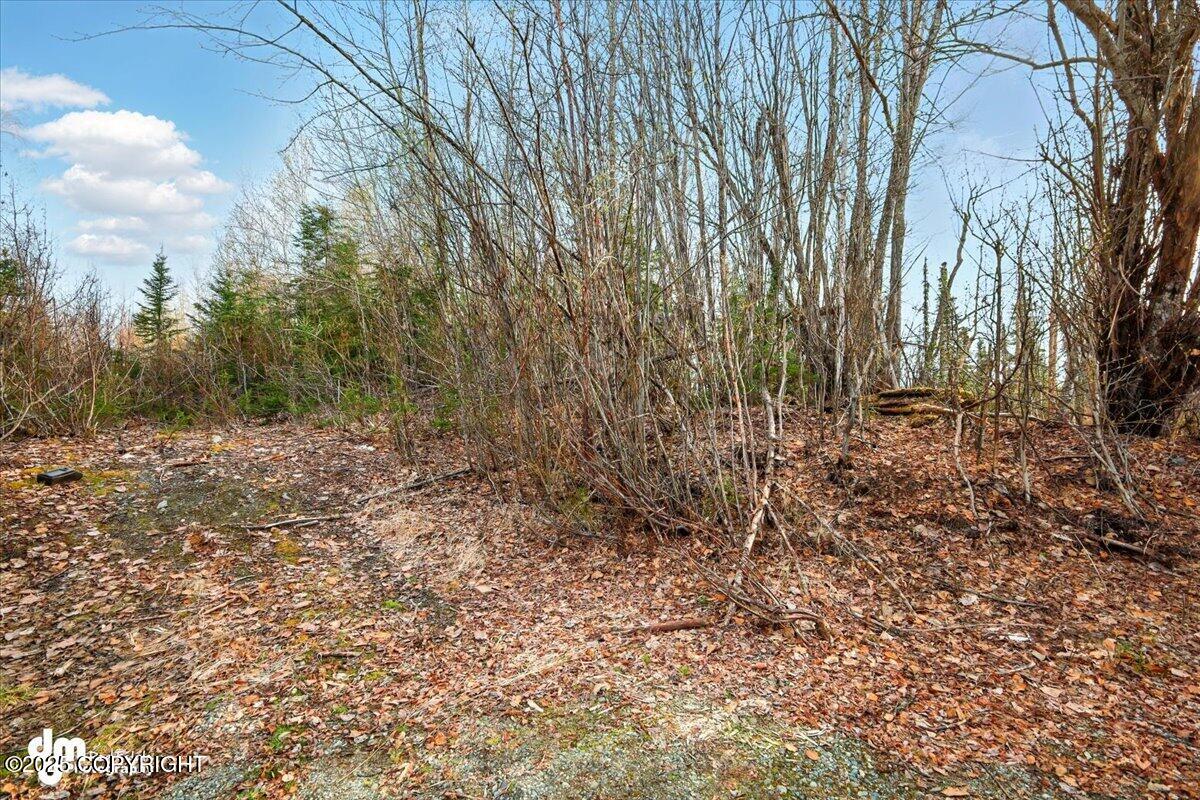 66359 S Parks Highway, Willow, Alaska image 3
