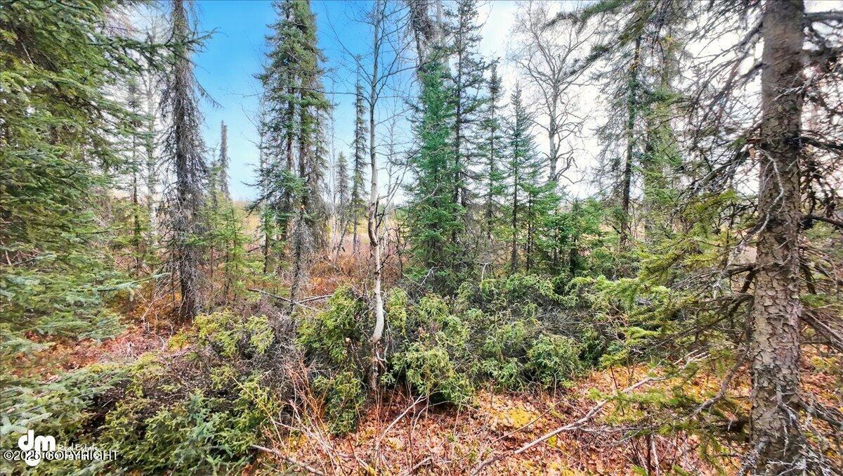 66359 S Parks Highway, Willow, Alaska image 1