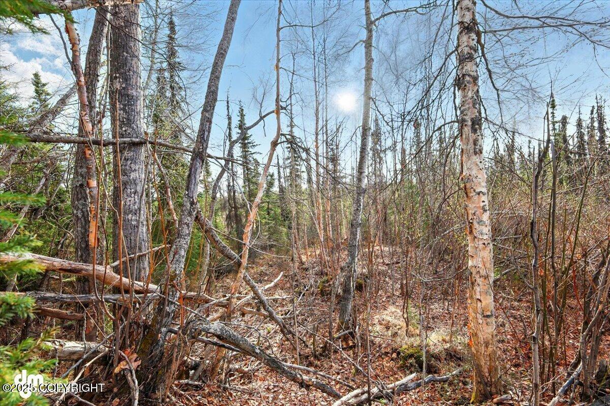 66359 S Parks Highway, Willow, Alaska image 5