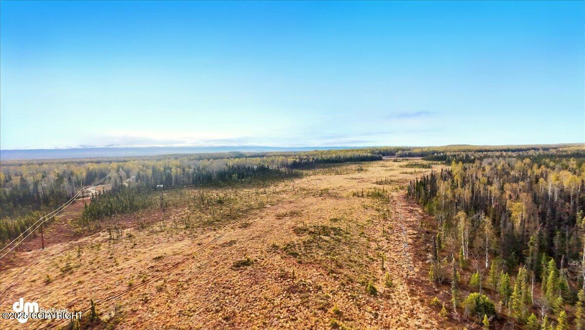 66359 S Parks Highway, Willow, Alaska image 4