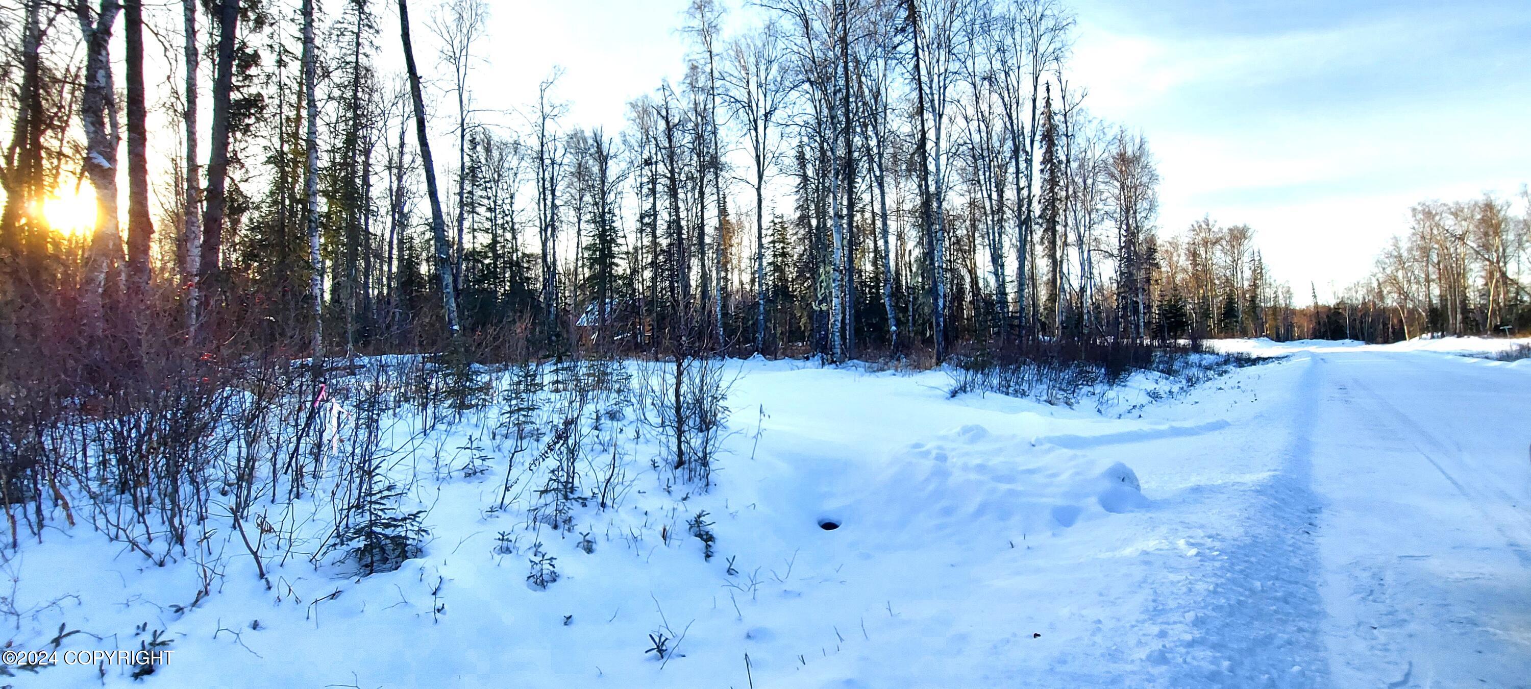 L15 E Fireweed Honey Road, Talkeetna, Alaska image 2