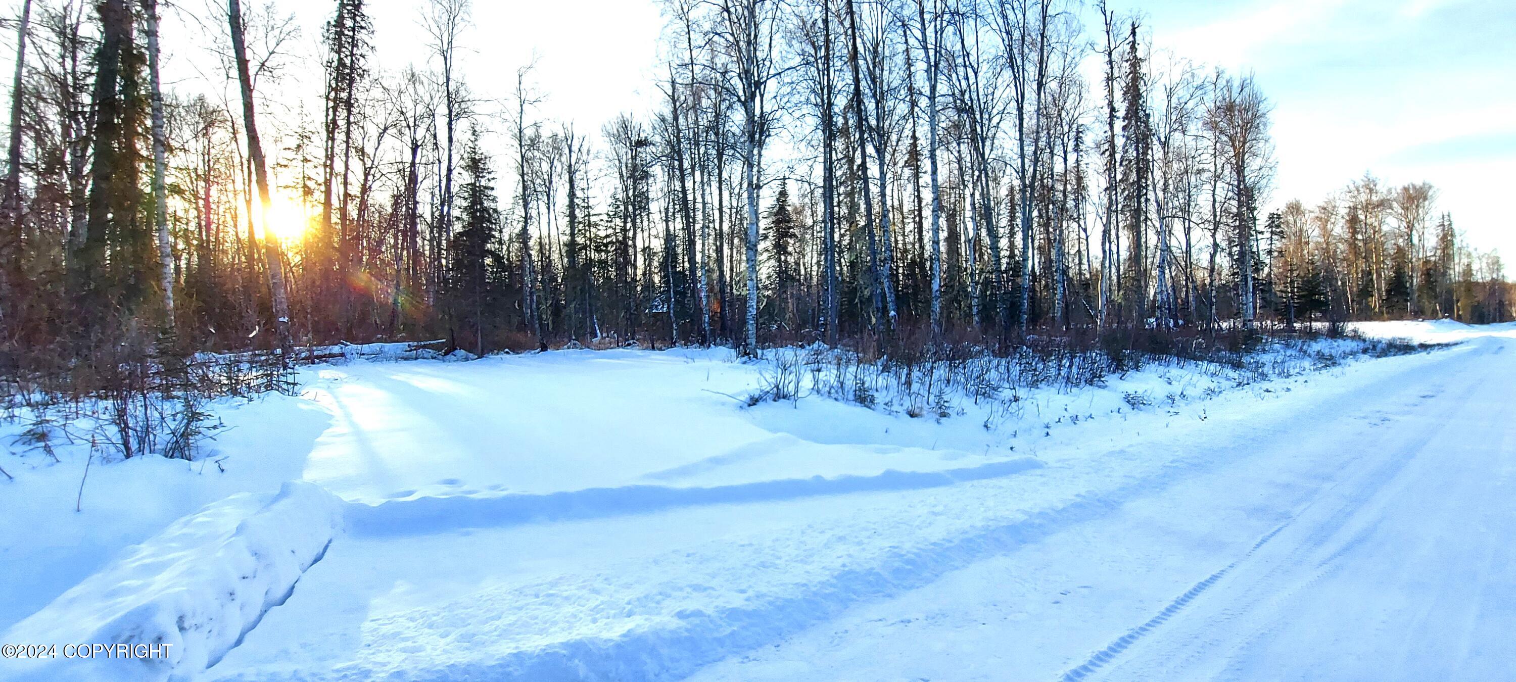 L15 E Fireweed Honey Road, Talkeetna, Alaska image 1