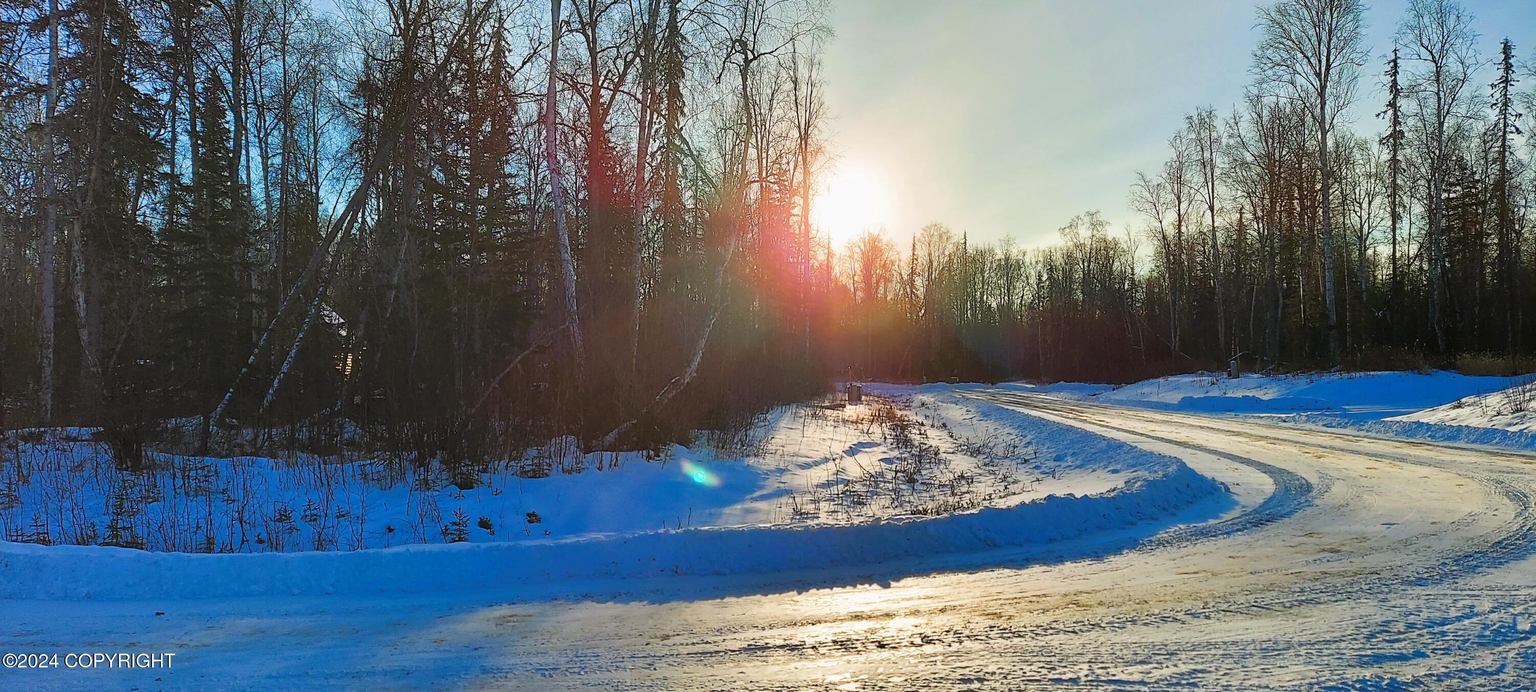 L15 E Fireweed Honey Road, Talkeetna, Alaska image 4