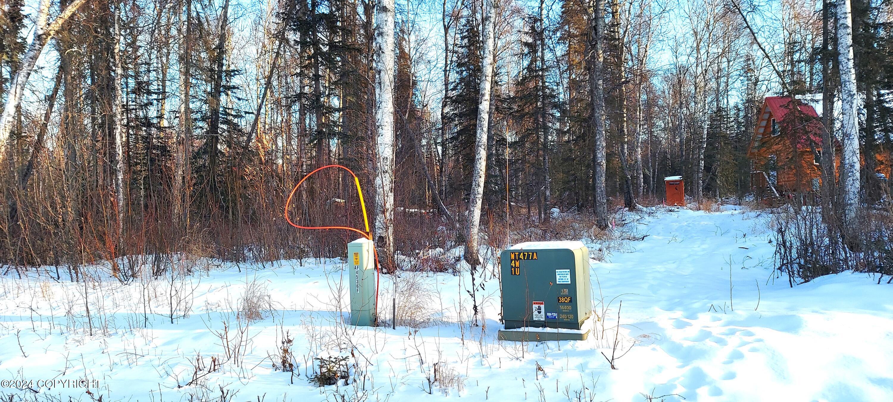 L15 E Fireweed Honey Road, Talkeetna, Alaska image 6