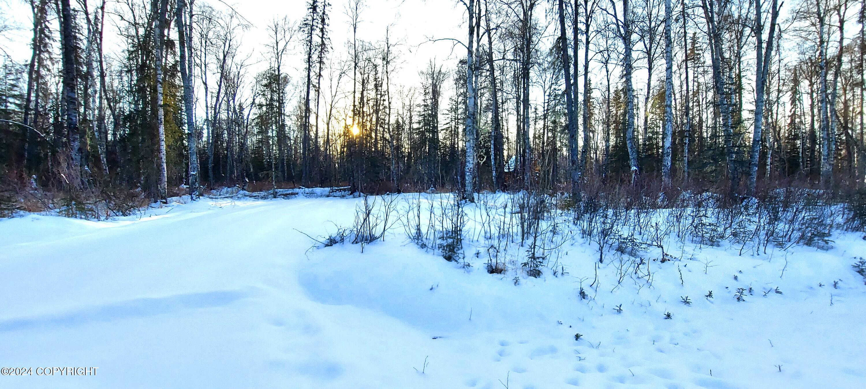 L15 E Fireweed Honey Road, Talkeetna, Alaska image 3