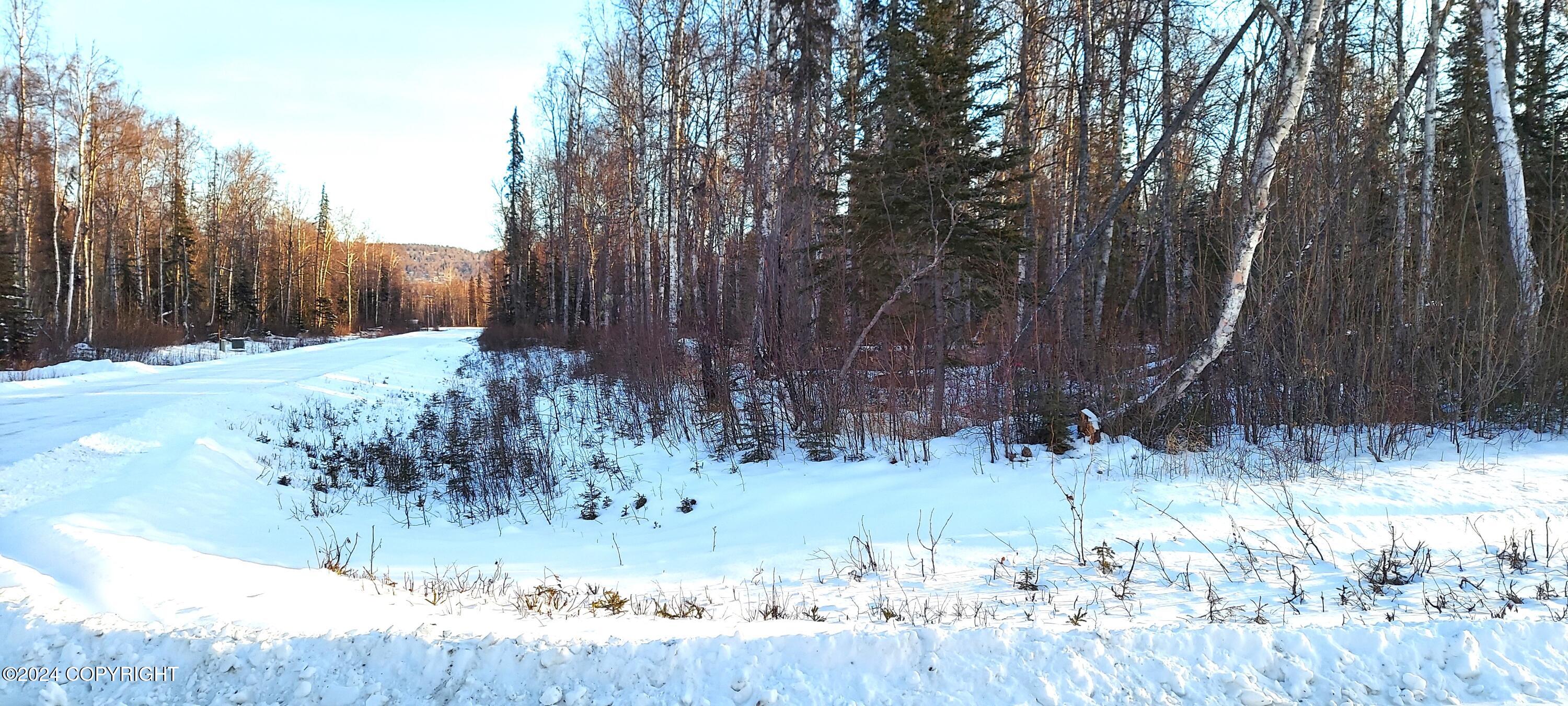 L15 E Fireweed Honey Road, Talkeetna, Alaska image 5