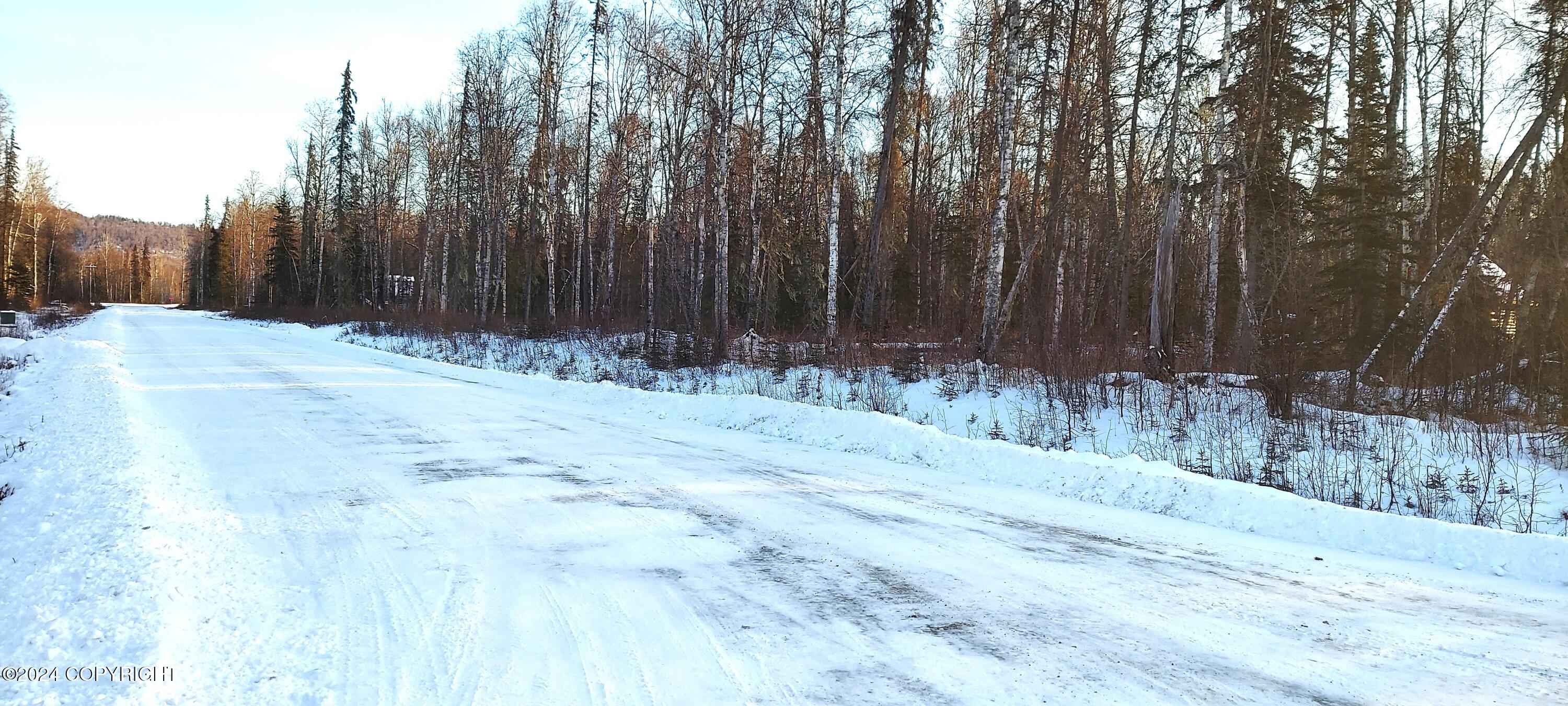 L15 E Fireweed Honey Road, Talkeetna, Alaska image 7