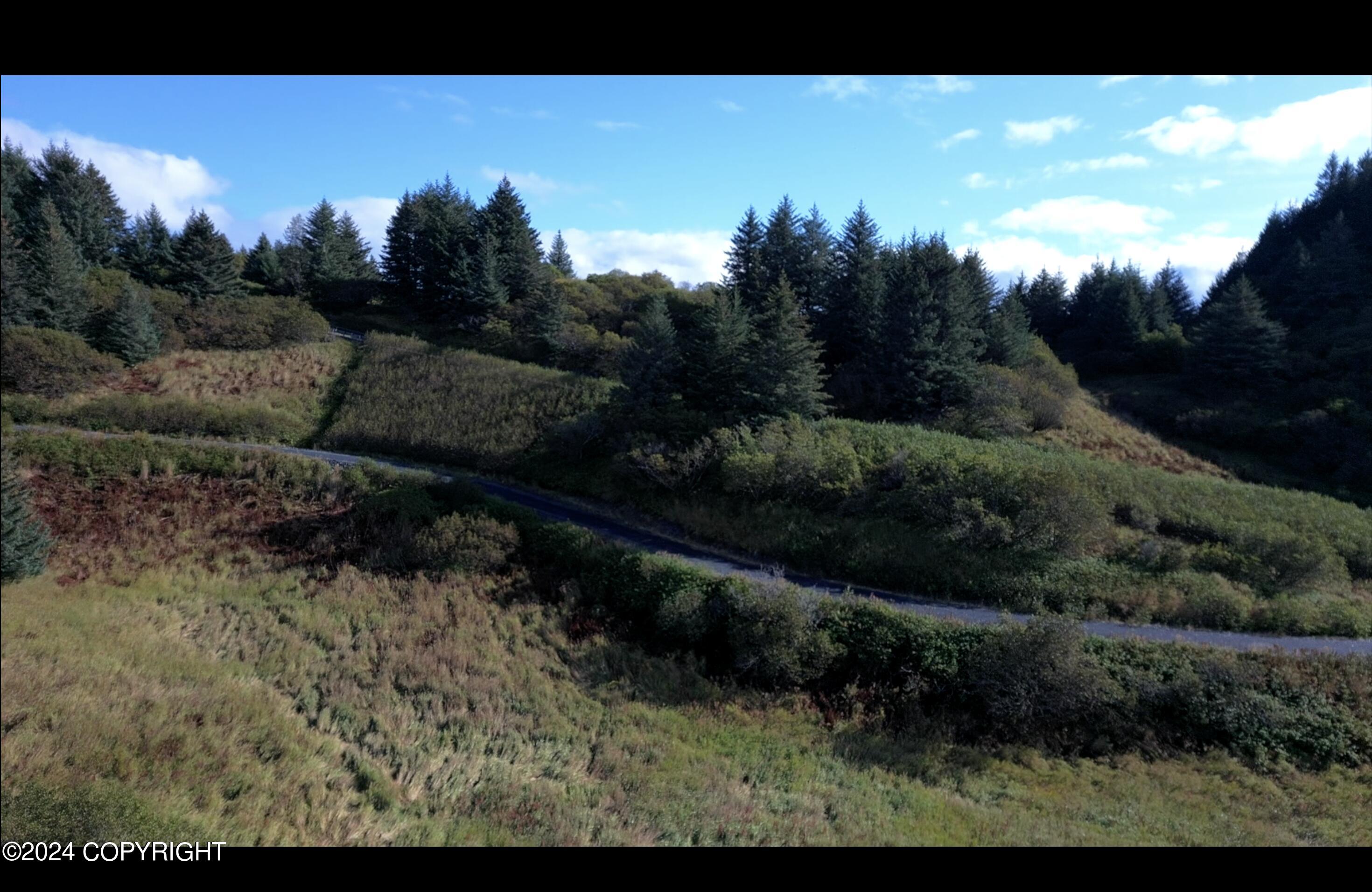 000 Jasmine Road, Chugiak, Alaska image 10