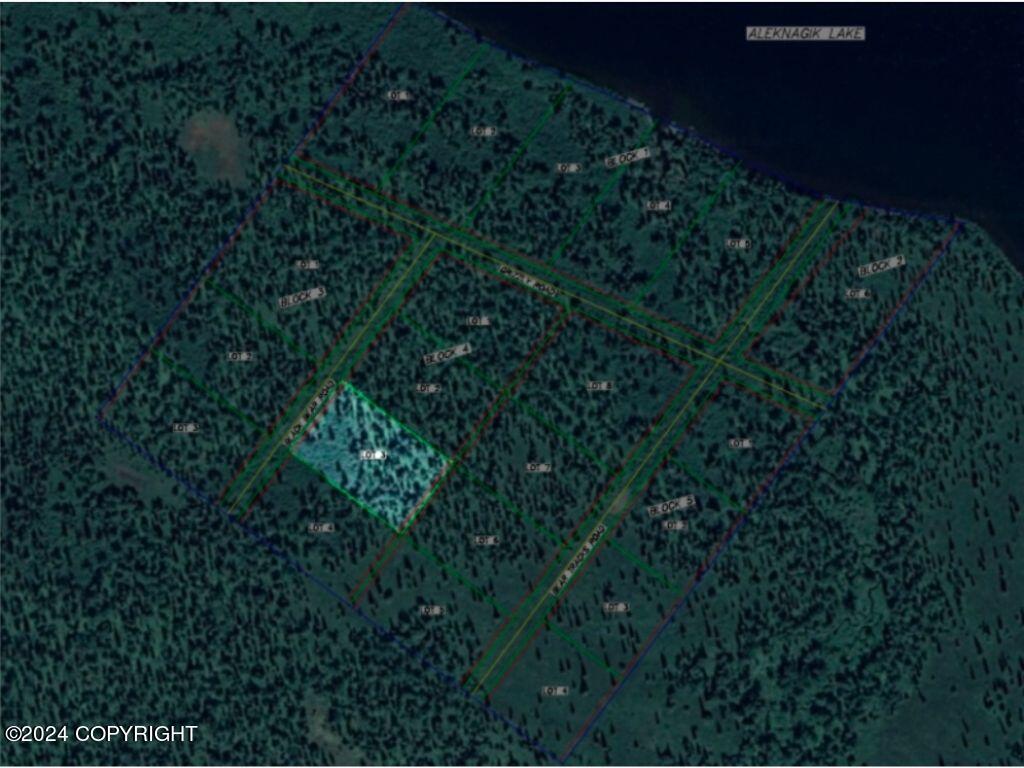 L3B4 Black Bear Road, Aleknagik, Alaska image 12