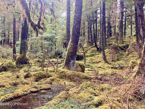 Photo of L9B18 South Thorne bay, Thorne Bay, AK 99919 (MLS # 26-1470)