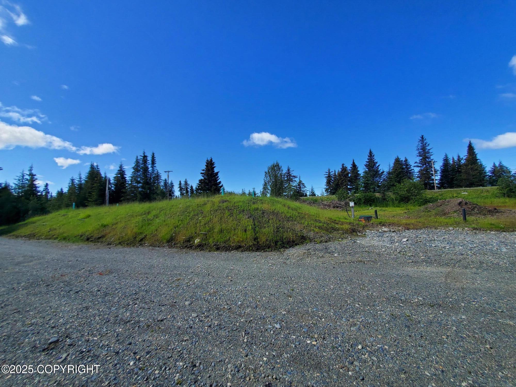 41110 Sterling Highway, Homer, Alaska image 11