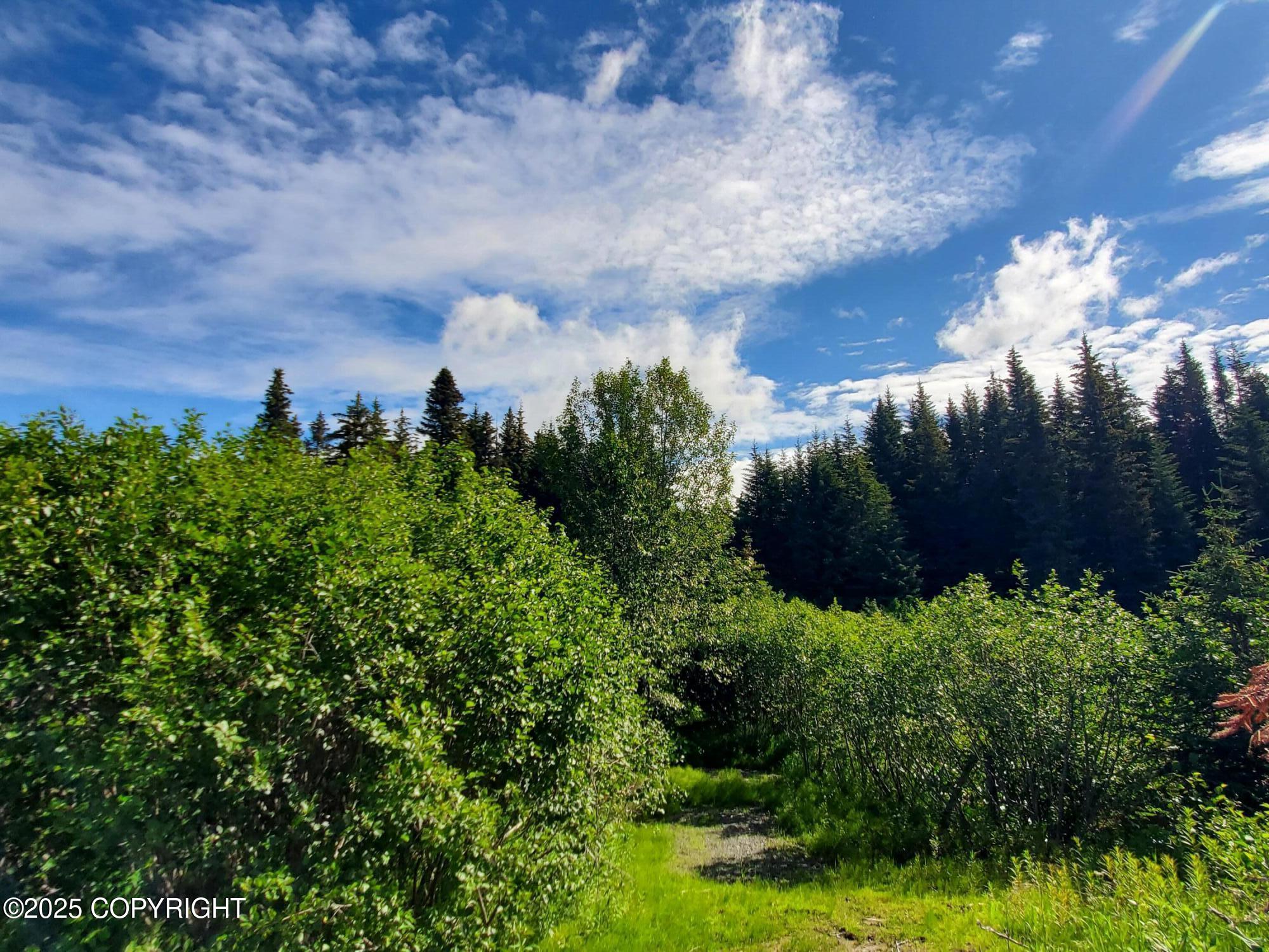 41110 Sterling Highway, Homer, Alaska image 7