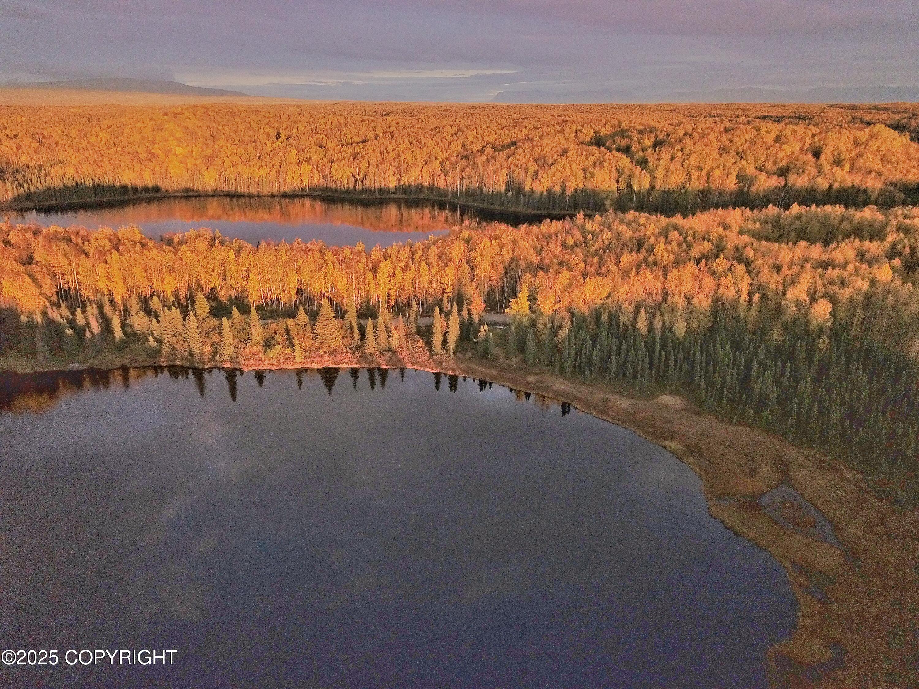 Unit 8 N Red Shirt Drive, Willow, Alaska image 21