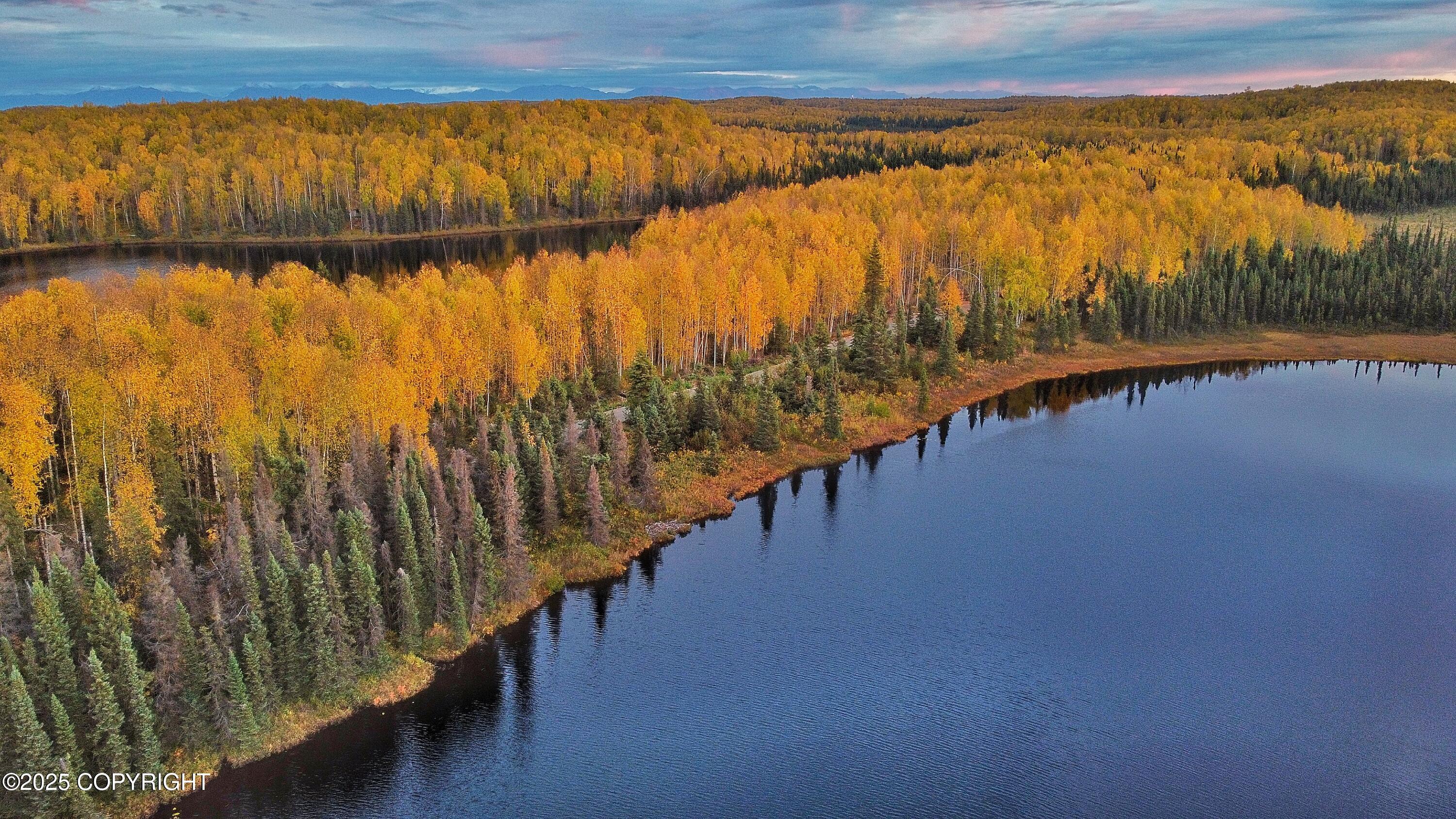 Unit 8 N Red Shirt Drive, Willow, Alaska image 44