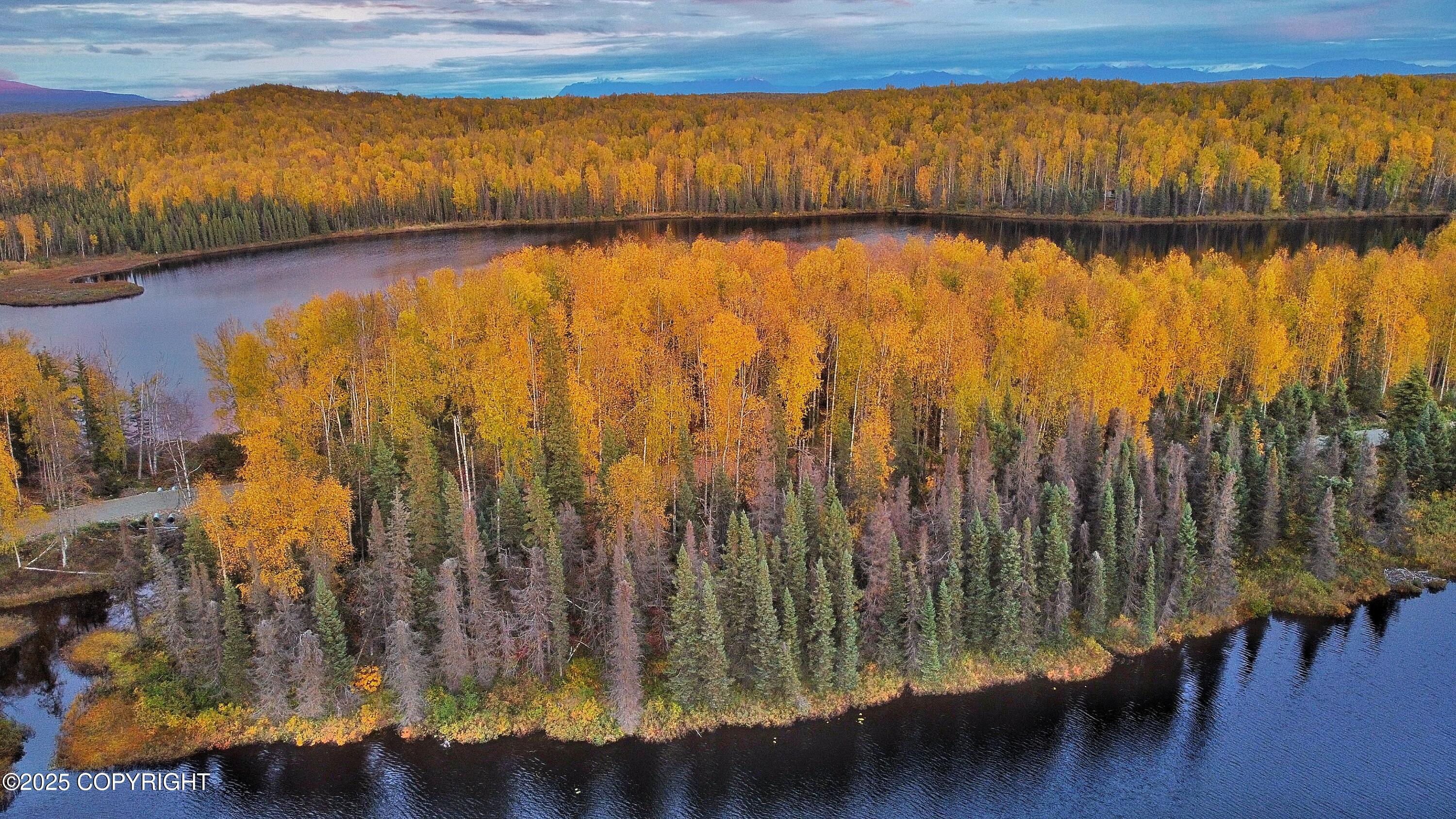 Unit 8 N Red Shirt Drive, Willow, Alaska image 43