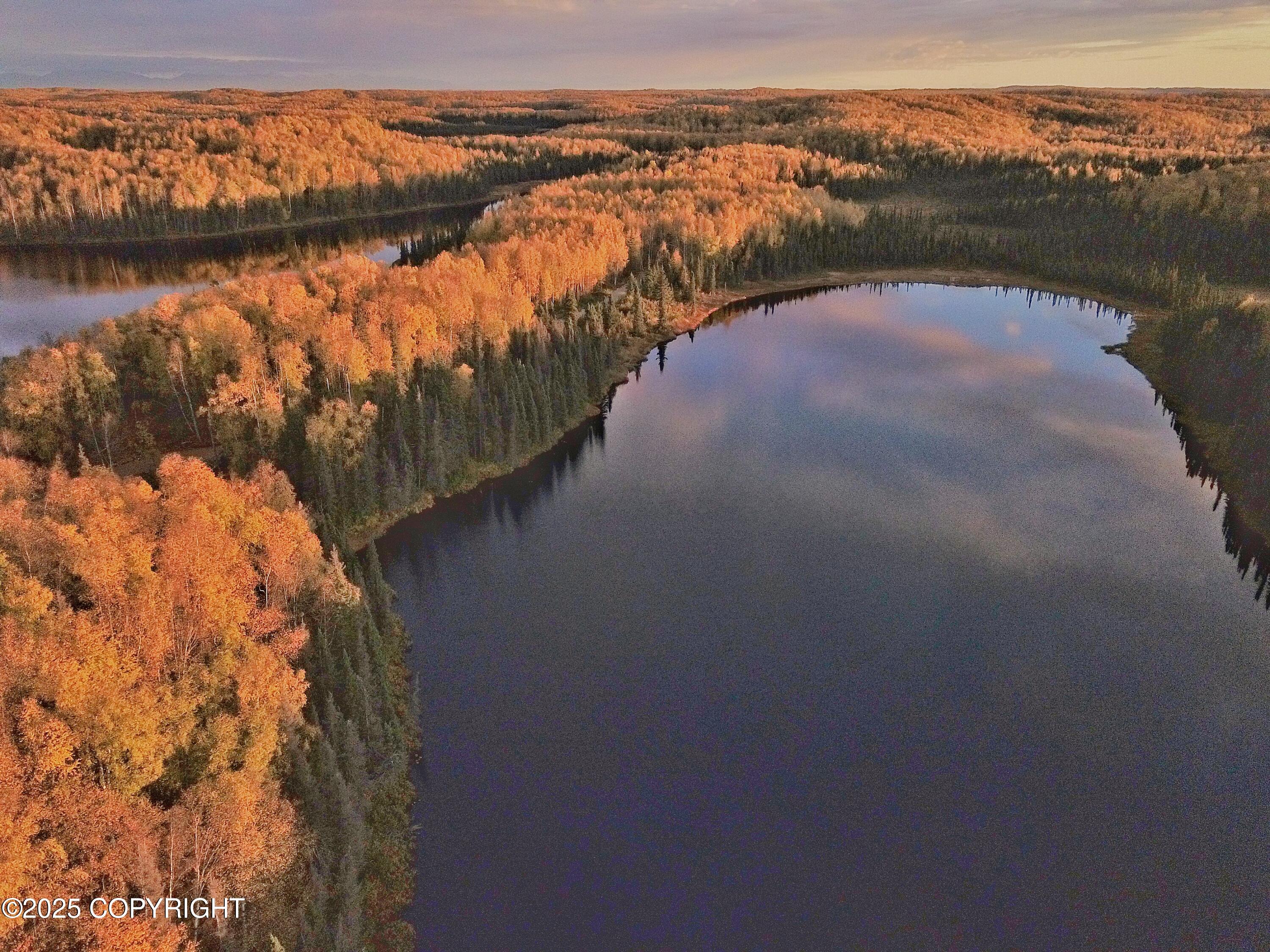 Unit 8 N Red Shirt Drive, Willow, Alaska image 23