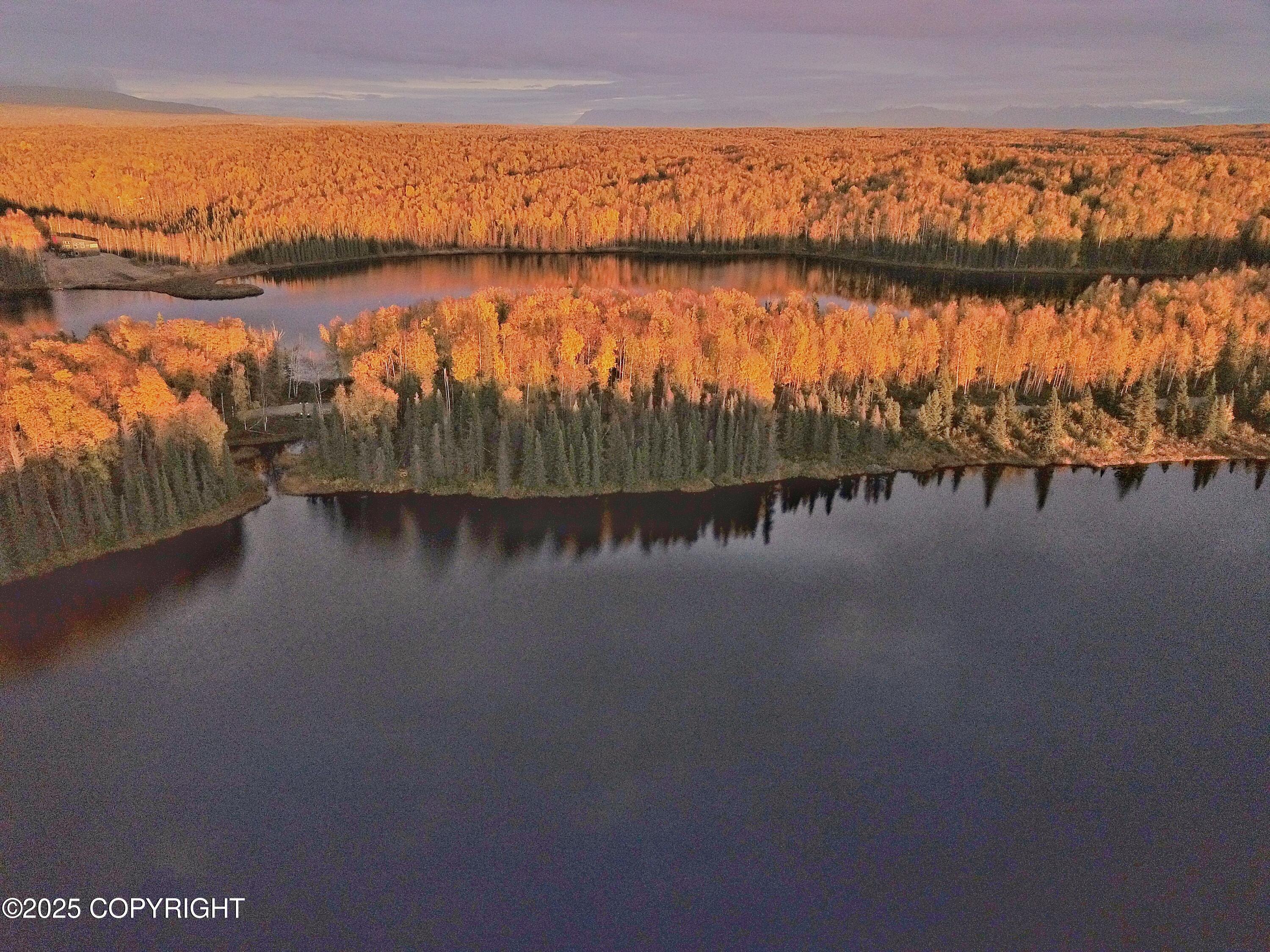 Unit 8 N Red Shirt Drive, Willow, Alaska image 22