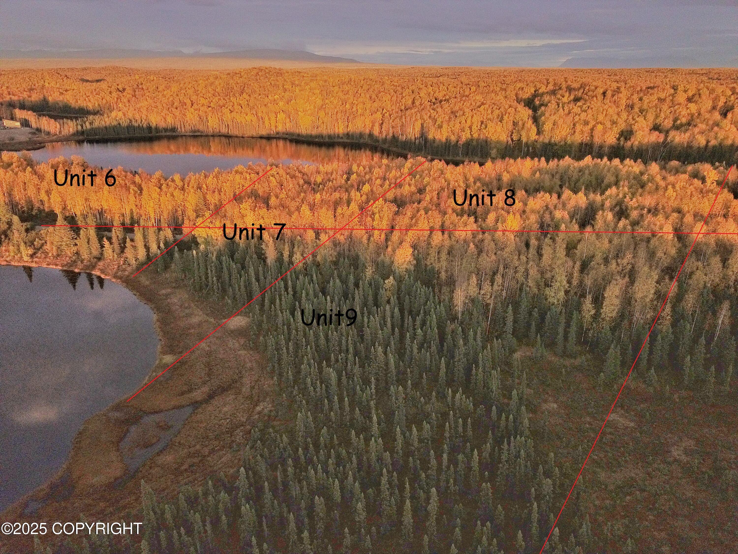 Unit 8 N Red Shirt Drive, Willow, Alaska image 18