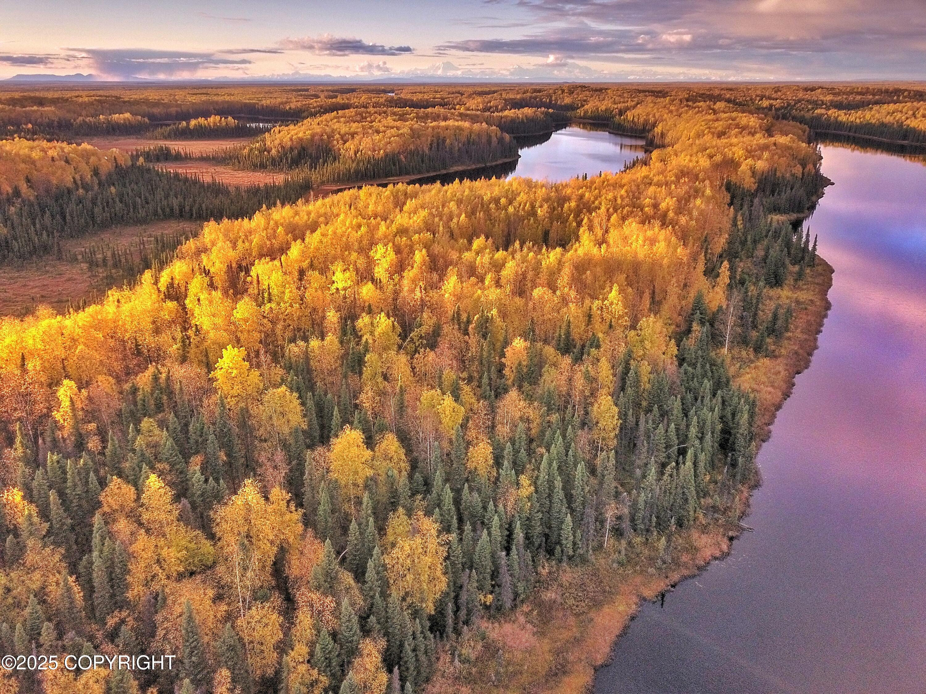 Unit 8 N Red Shirt Drive, Willow, Alaska image 7