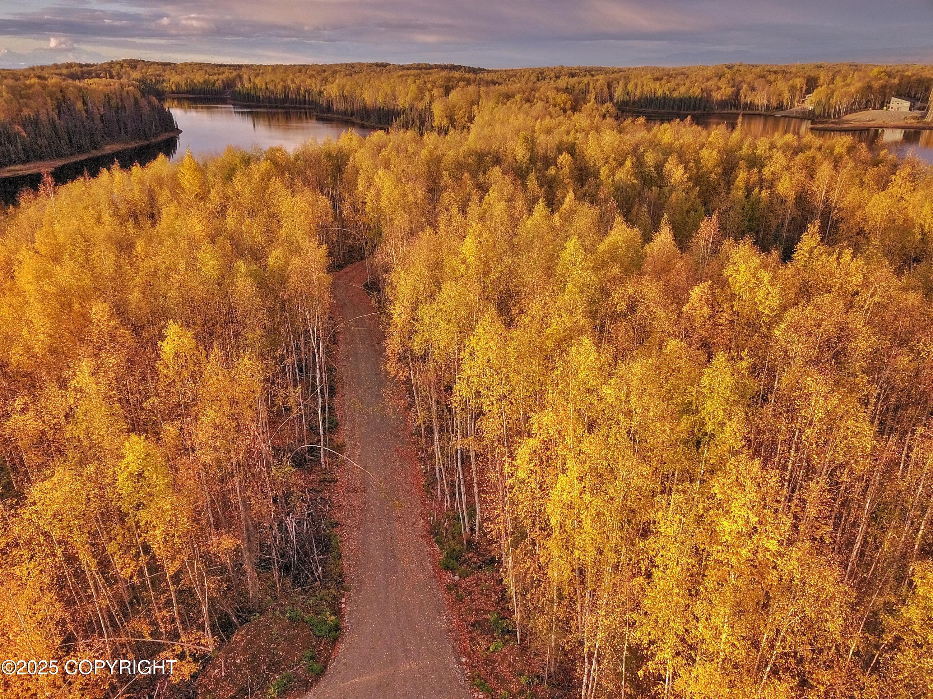 Unit 8 N Red Shirt Drive, Willow, Alaska image 1