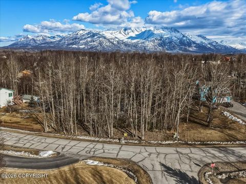 Photo of 2105 N Kentucky Derby Drive, Palmer, AK 99645 (MLS # 26-3490)