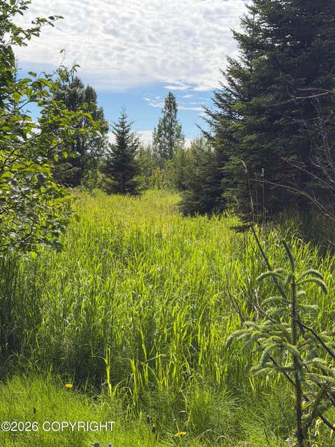 Photo of TR 1-4 Moon Lane, Homer, AK 99603 (MLS # 26-8216)