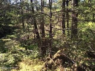 000 Timber Avenue, Wrangell, Alaska image 4