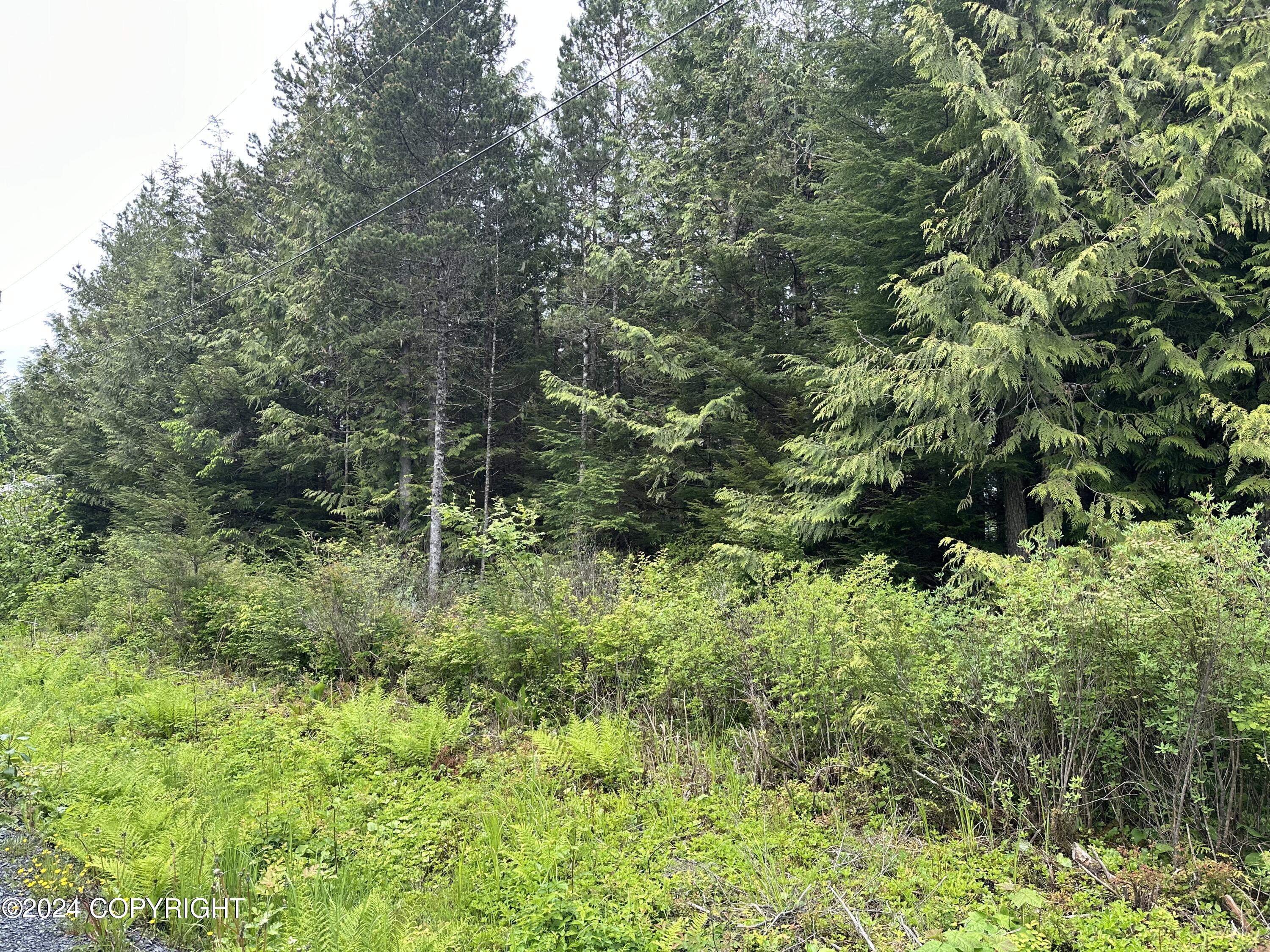 616 Council Drive, Wrangell, Alaska image 1