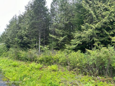 Photo of 616 Council Drive, Wrangell, AK 99929 (MLS # 24-7033) Photo of 616 Council Drive, Wrangell, AK 99929 (MLS # 24-7033)