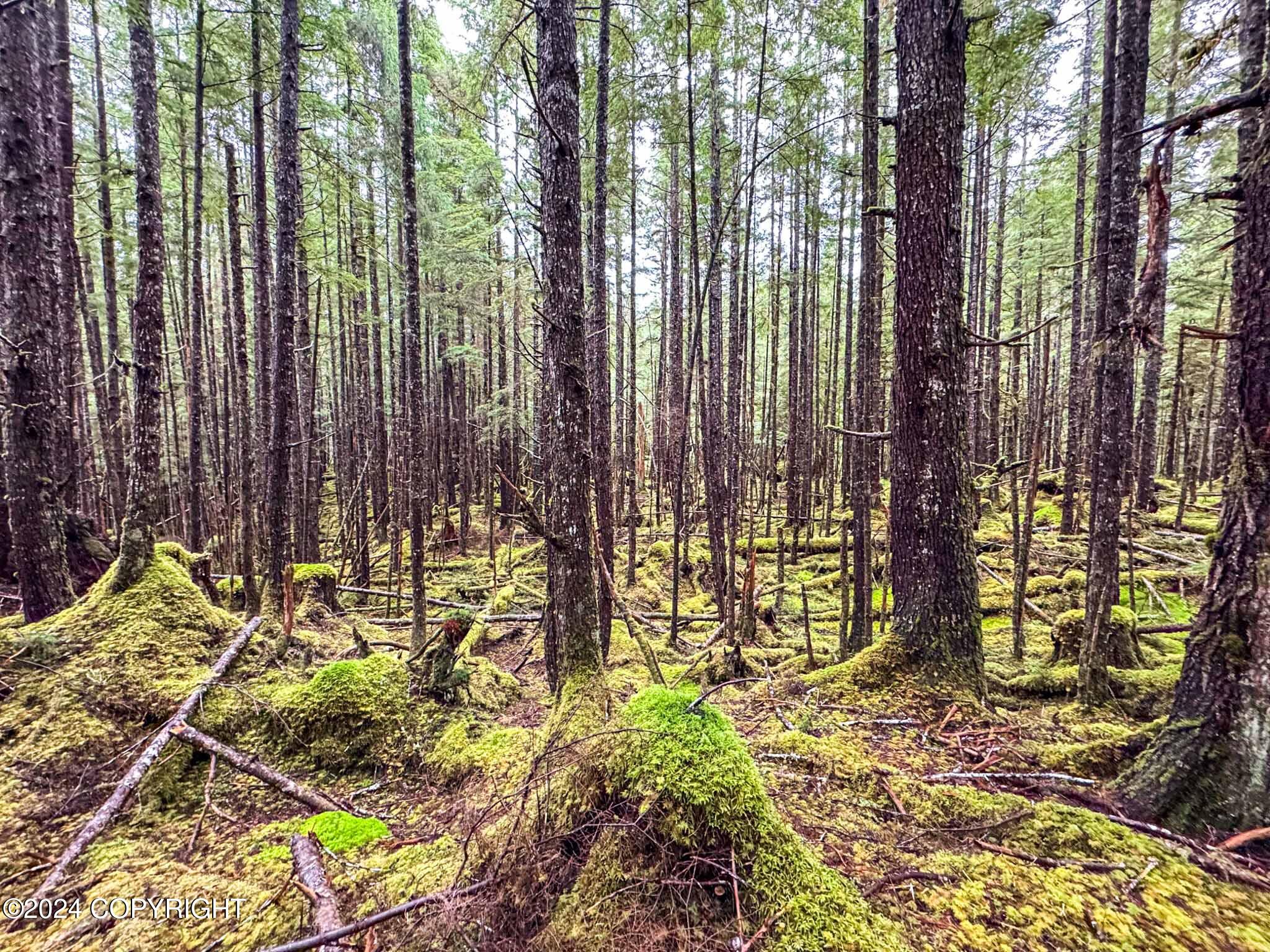 L10B18 Steep Road, Thorne Bay, Alaska image 6