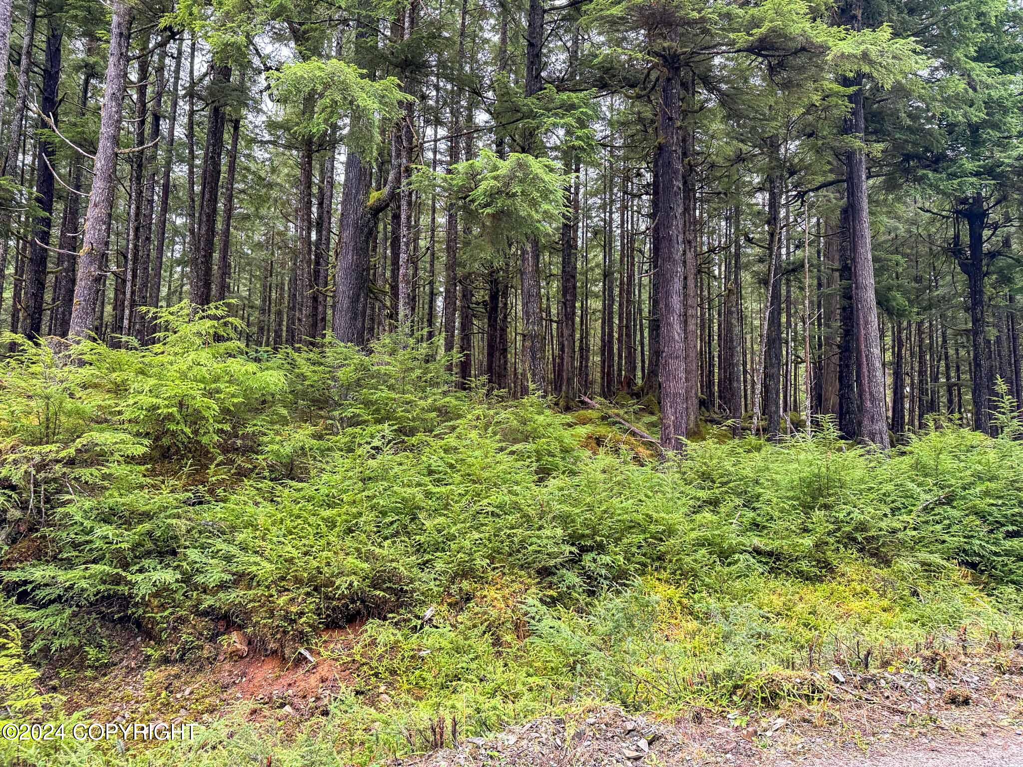 L10B18 Steep Road, Thorne Bay, Alaska image 3