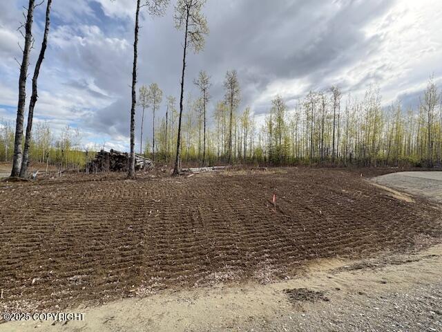 L5 B2 W Peak Circle, Big Lake, Alaska image 1